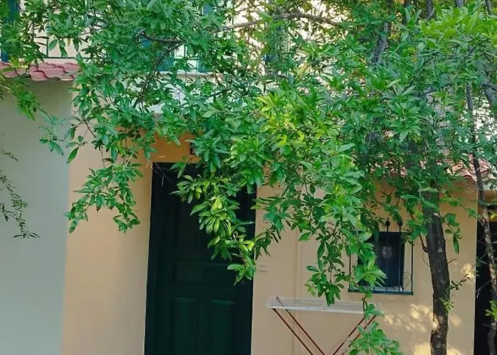 Roxanne Villa's Chaniotis