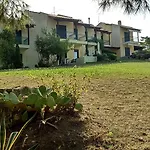 Roxanne Villa's Chaniotis